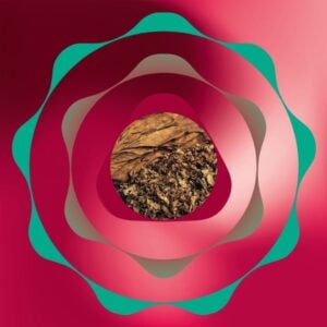 SENTIA Juicy Red 4 SENTIA Juicy Red for IQOS Iluma💨 ‣ Worldwide Shipping🚀