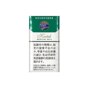 Gudang Garam Nusantara Menthol 🍂 ‣ Worldwide Shipping 🚀