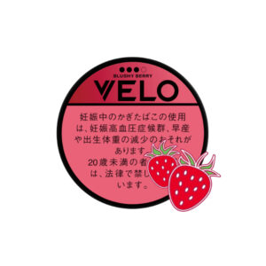VELO Blushy Berry Very X Intense 🍂 ‣ Worldwide Shipping 🚀